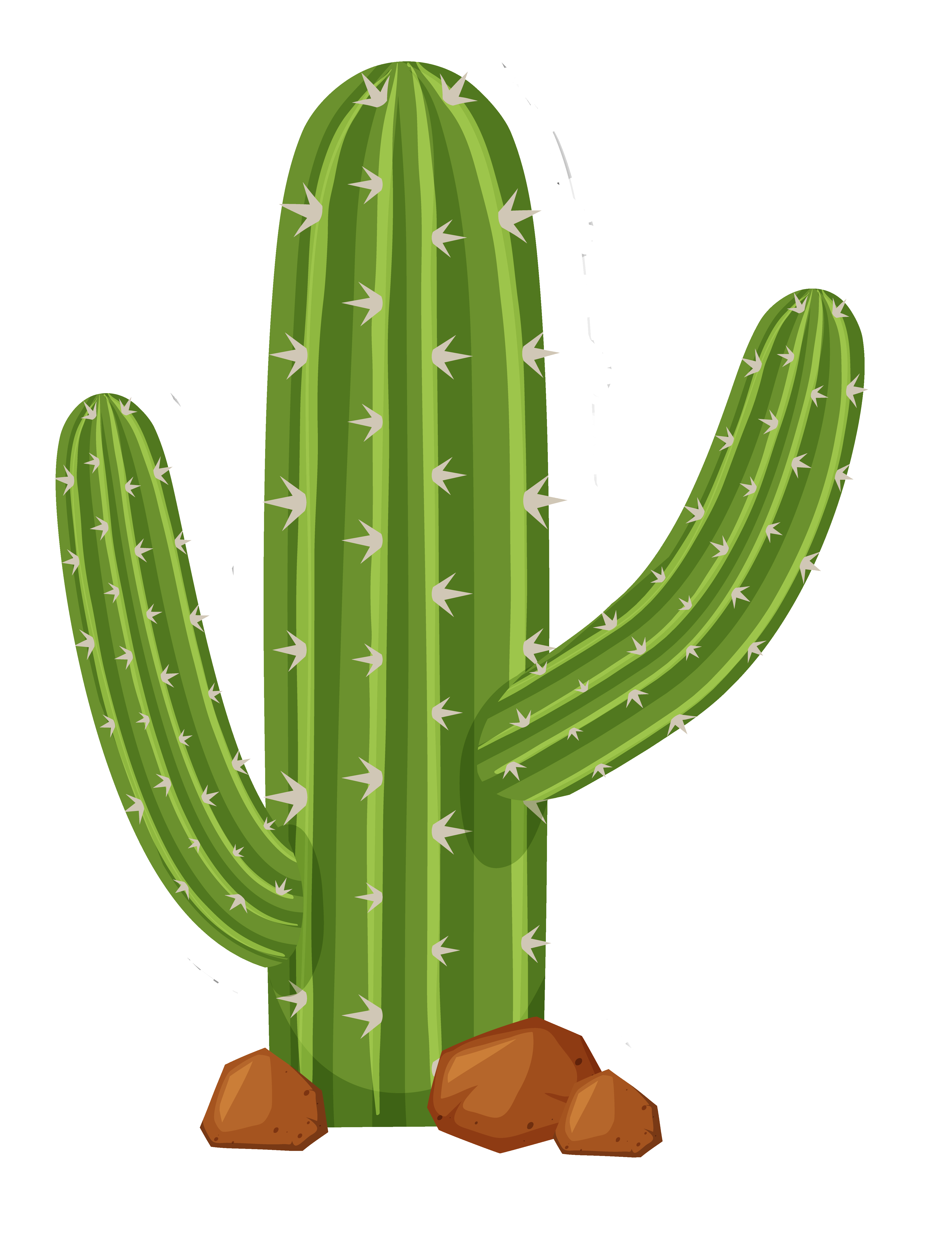 Cactus not found!